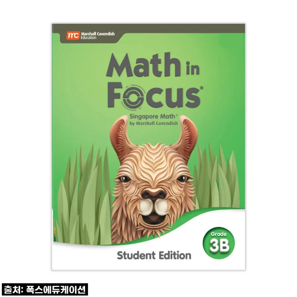 우리 아이 수학 자신감 뿜뿜! MCE 싱가포르수학 Math in Focus 초등3B 찐 사용 후기