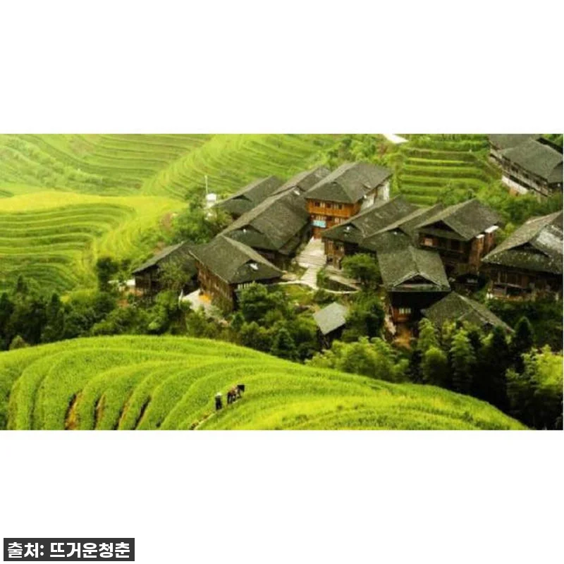 구이린 롱셩 드래곤 백본 계단식 논, 관련 이미지 1