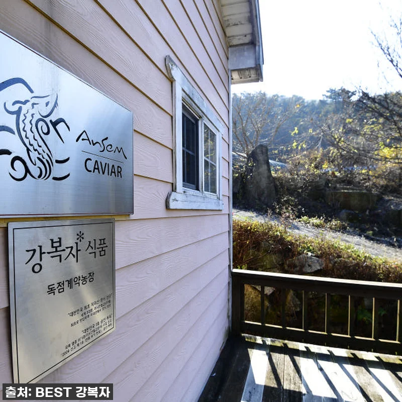 철갑상어즙, 꾸준히 챙겨 먹으니 체력 관련 이미지 2