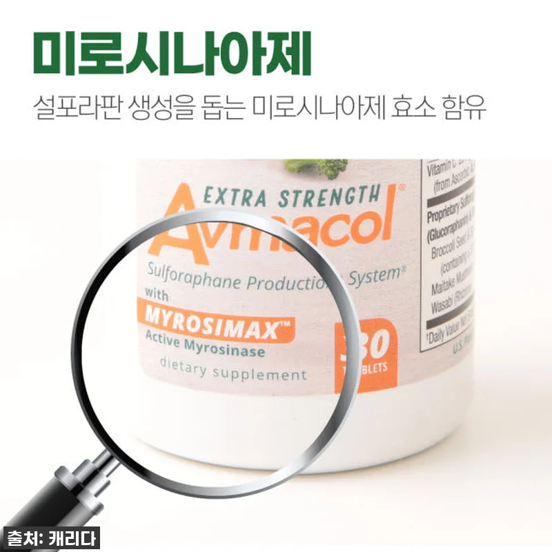 브로콜리새싹 설포라판 아브마콜 엑스트 관련 이미지 2