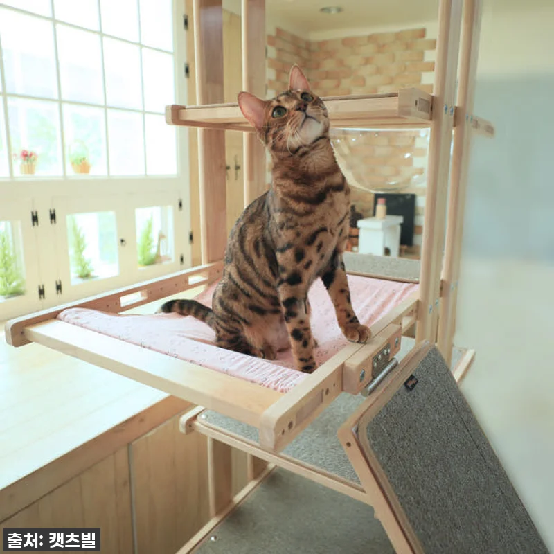 캣츠빌 THE큰타워 원목 캣타워 B타 관련 이미지 2