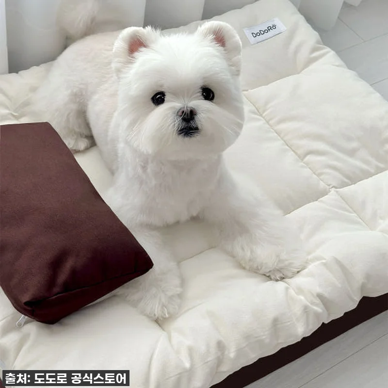 도도로 강아지 침대 애견 고양이 매트 관련 이미지 1