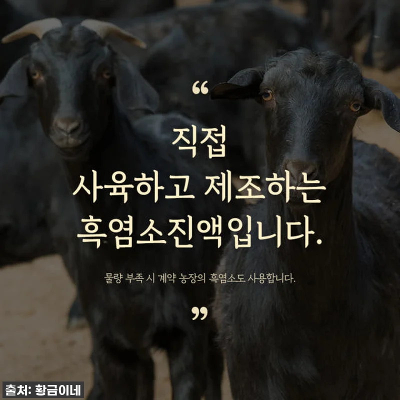 환절기 피로 싹! '황금이네 자연방목 관련 이미지 3