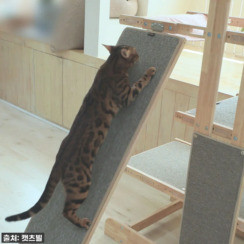 캣츠빌 THE큰타워 원목 캣타워 B타 관련 이미지 3