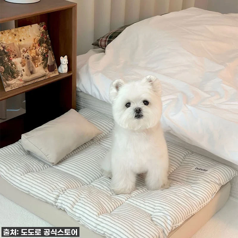 도도로 강아지 침대 애견 고양이 매트 관련 이미지 2