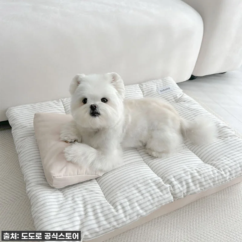 도도로 강아지 침대 애견 고양이 매트 관련 이미지 3