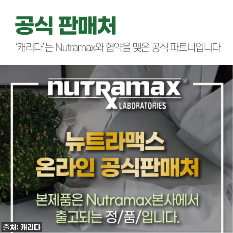 브로콜리새싹 설포라판 아브마콜 엑스트 관련 이미지 5
