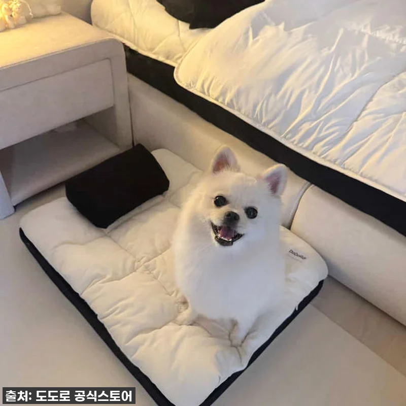 도도로 강아지 침대 애견 고양이 매트 관련 이미지 4