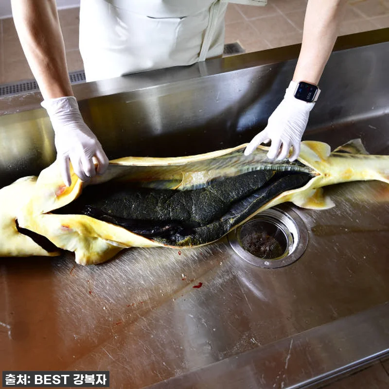 철갑상어즙, 꾸준히 챙겨 먹으니 체력 관련 이미지 6