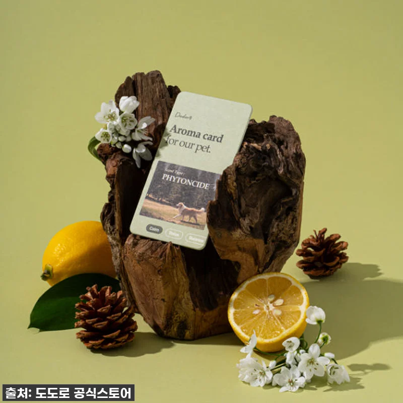 도도로 강아지 침대 애견 고양이 매트 관련 이미지 5