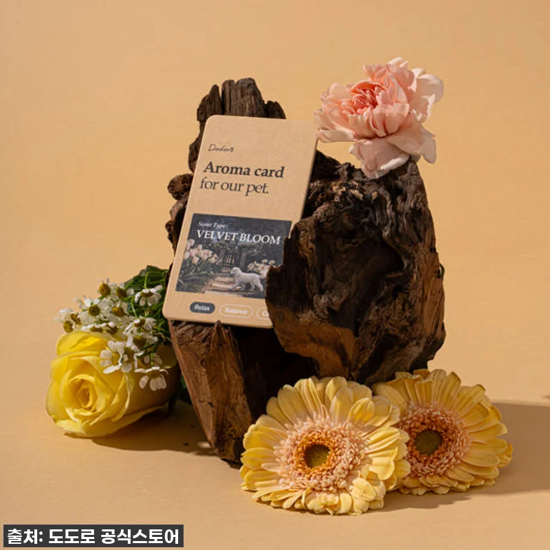 도도로 강아지 침대 애견 고양이 매트 관련 이미지 6