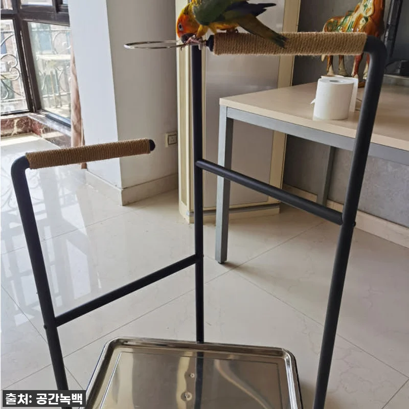 앵무새 횟대 놀이터 발톱갈이 횃대 스 관련 이미지 7