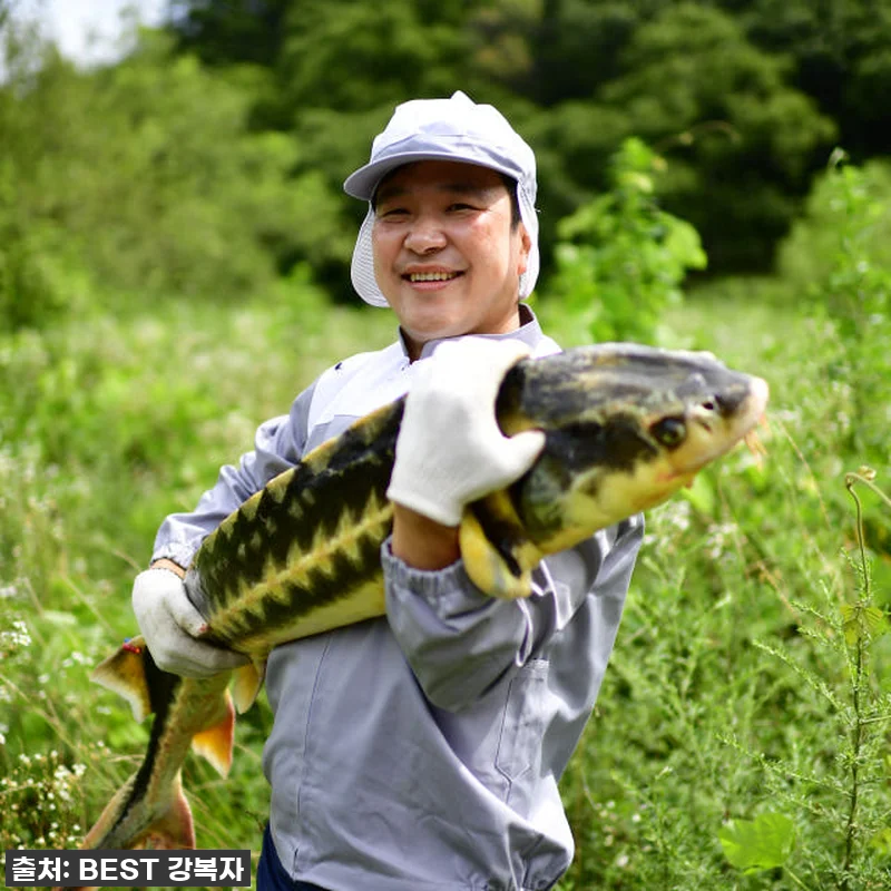 철갑상어즙, 꾸준히 챙겨 먹으니 체력 관련 이미지 8
