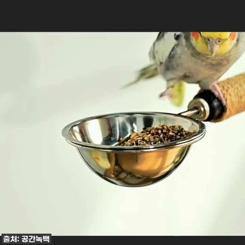 앵무새 횟대 놀이터 발톱갈이 횃대 스 관련 이미지 9