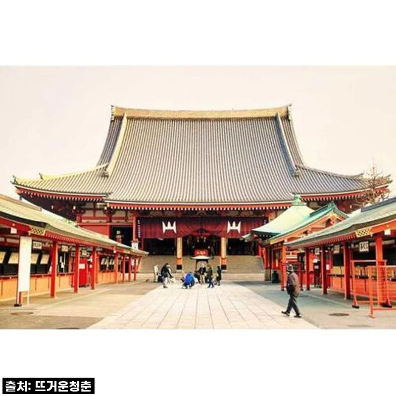 일본 도쿄: 자동차로 개인 맞춤형 1일 투어