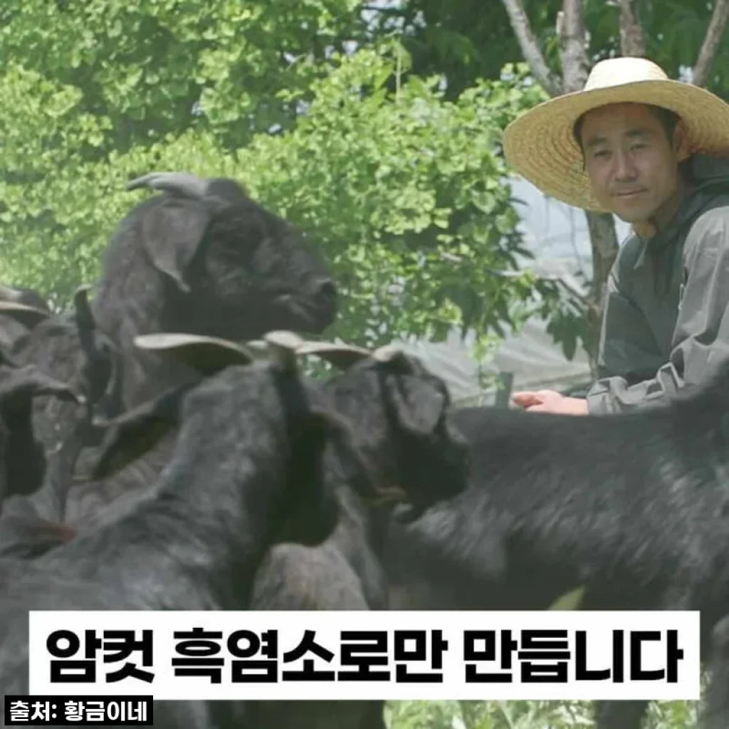 환절기 피로 싹! '황금이네 자연방목 흑염소진액', 내 몸이 먼저 알아봤네!