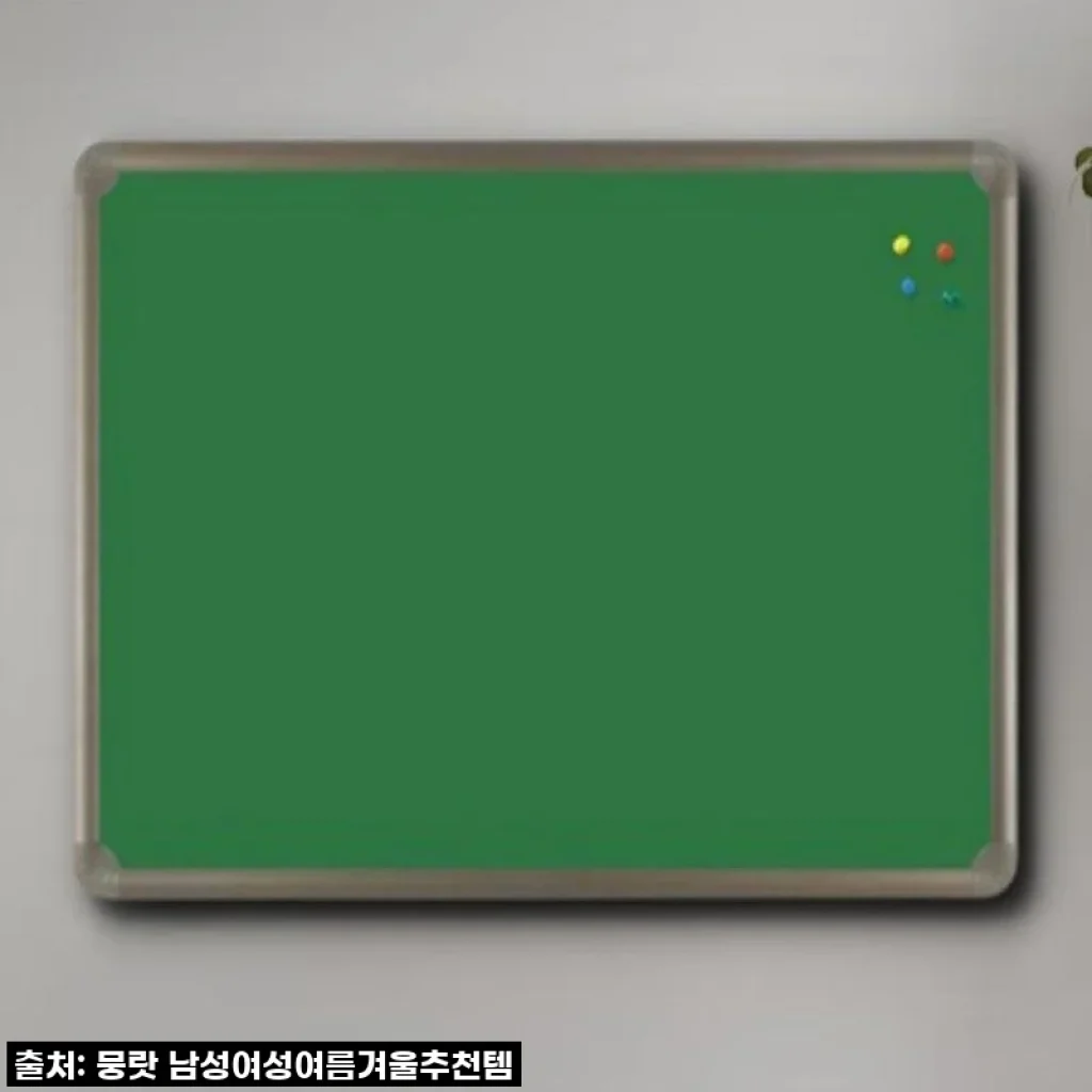 우리 집 똑똑이 공간 변신! 학교/교회/회사게시판 융 900x1500 솔직 후기