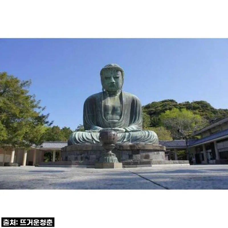 도쿄에서 떠나는 가마쿠라 사원 투어, 혼자라도 완벽했던 일본 감성 여행 후기!