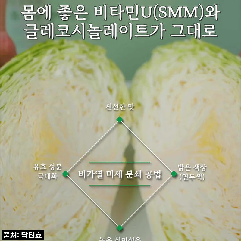 닥터효 더 건강한 유기농 양배추즙 150ml 60팩 사용후기