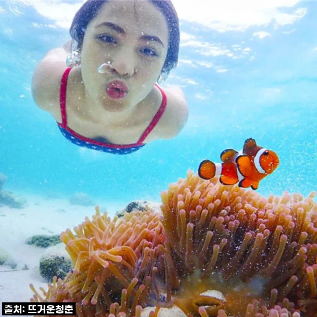 태국 파타야 니모섬 프라이빗 데이 투어 체험 후기