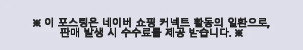 빅토리777 선거 휴대용 확성장치 250W 국산 앰프 사용 후기 6 이해관계문구