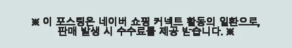 일본 도쿄 하네다 공항 개인 교통편 이용후기 4 이해관계문구