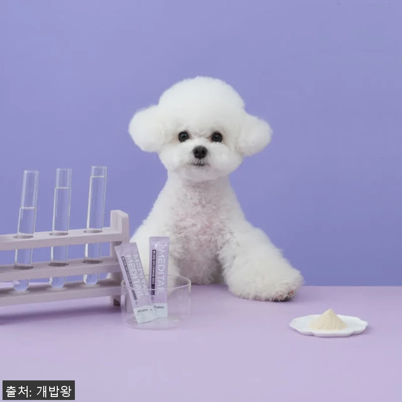 메디테일 강아지 유산균 마이크로 바이 관련 이미지 1