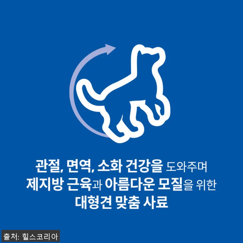 힐스 강아지사료 대형견용 라지브리드 관련 이미지 1