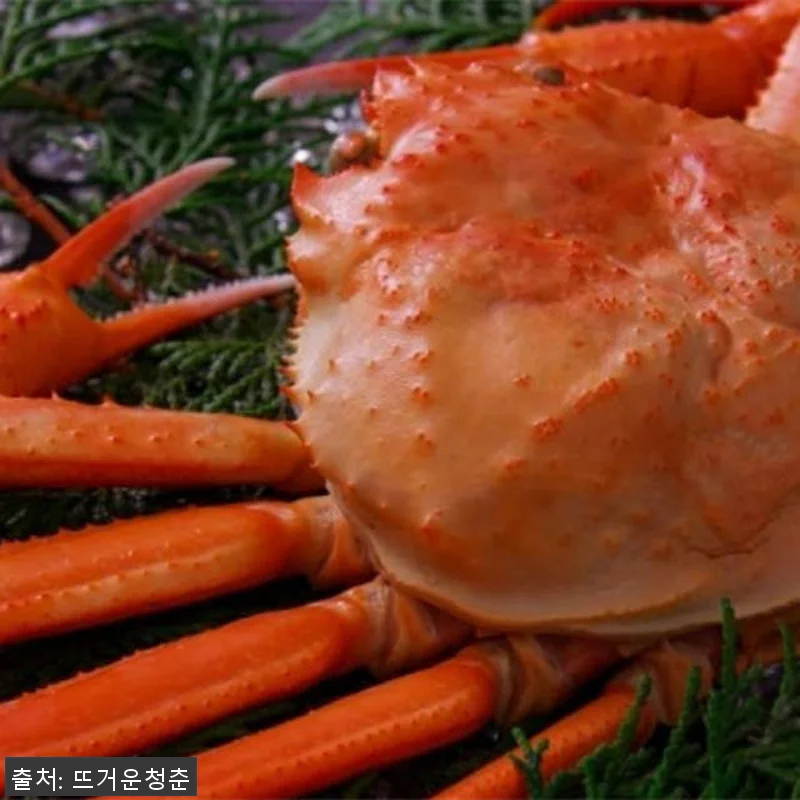 도쿄 온죠우시 키요야스테 록본기 철판 관련 이미지 2