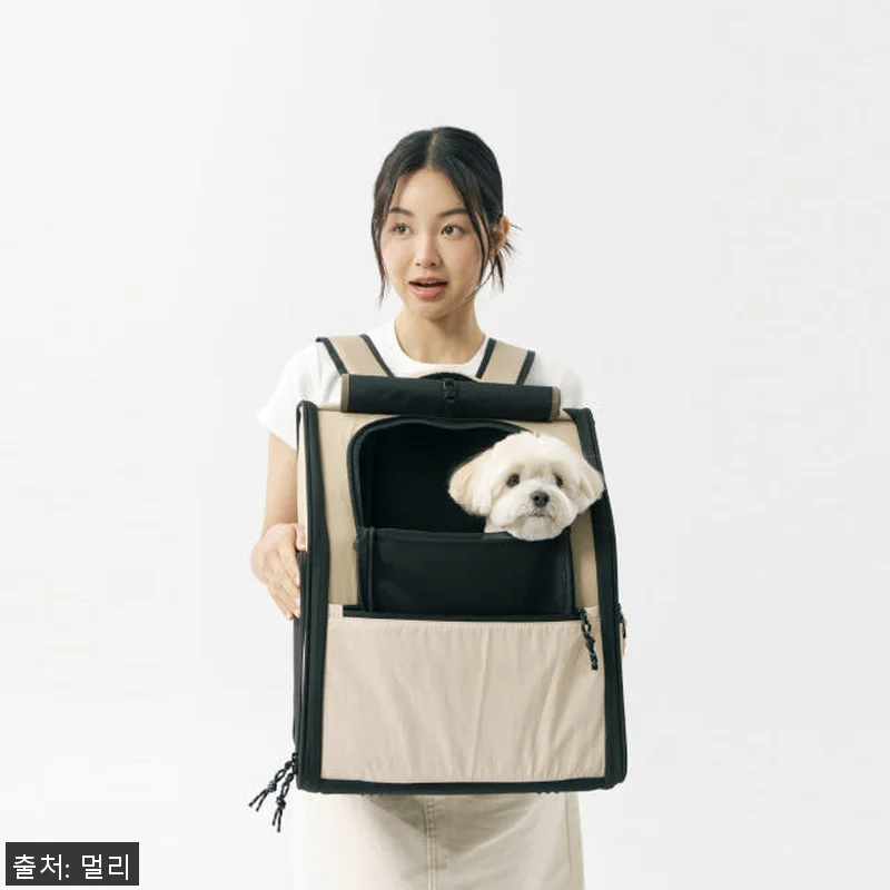 [사용후기] 론타노 백팩 강아지 이동 관련 이미지 2