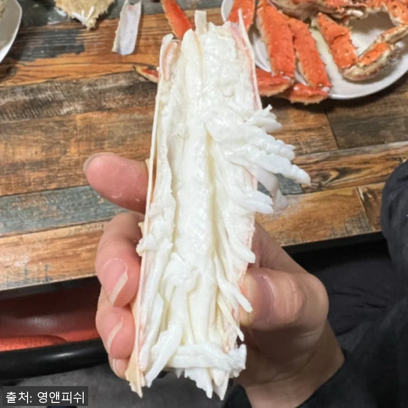 프리미엄 킹크랩 1마리 자숙 러시아 관련 이미지 3