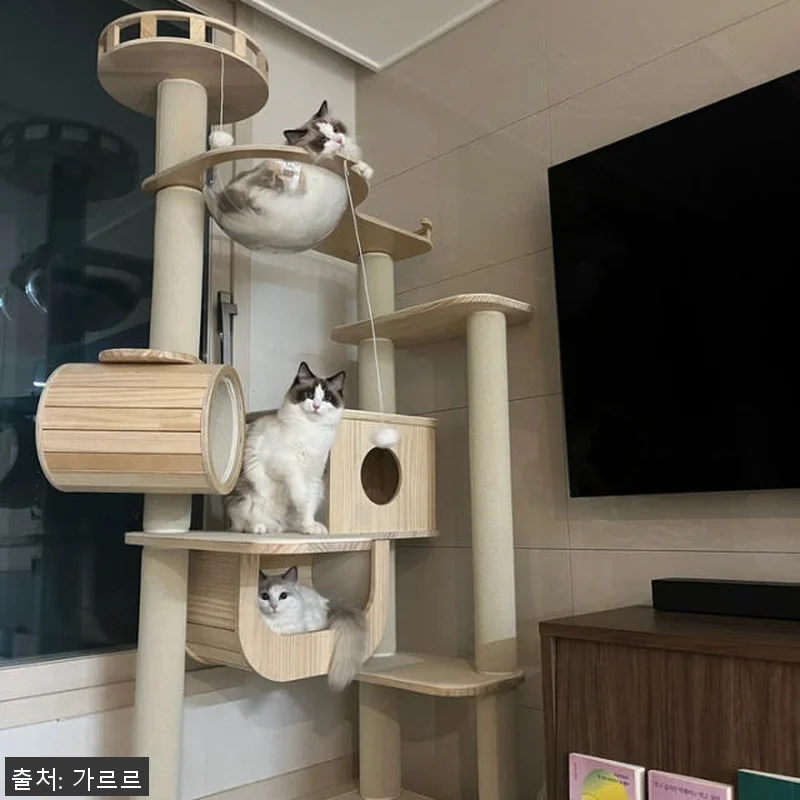가르르 고양이 원목 캣폴 갤럭시캣타워 관련 이미지 2