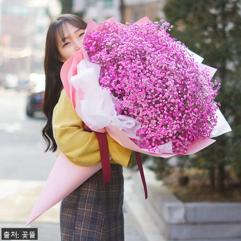 대형꽃다발 안개꽃 자이언트 대왕 큰꽃 관련 이미지 3