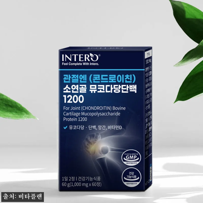 콘드로이드 콘드로이틴 소연골 1200 관련 이미지 4