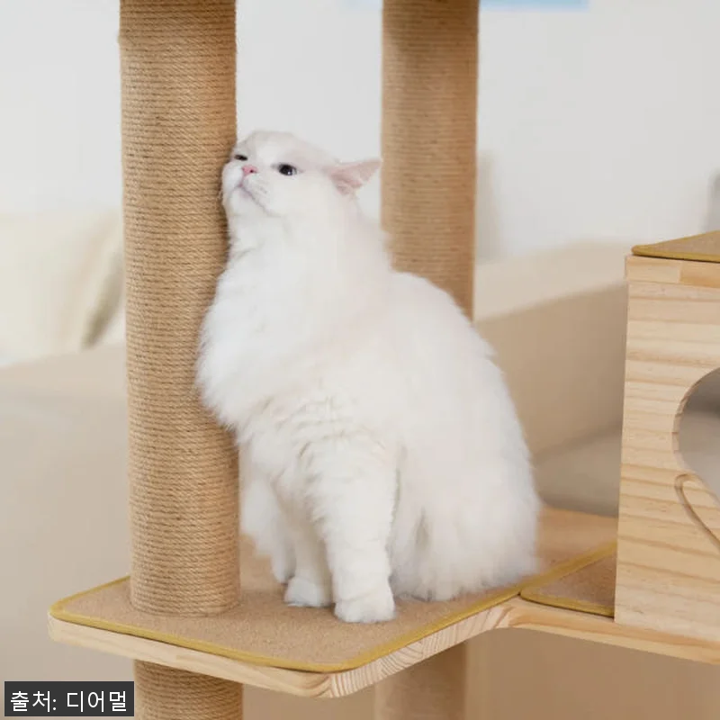 디어멀 국내생산 풀옵션 원목 6단 대 관련 이미지 4