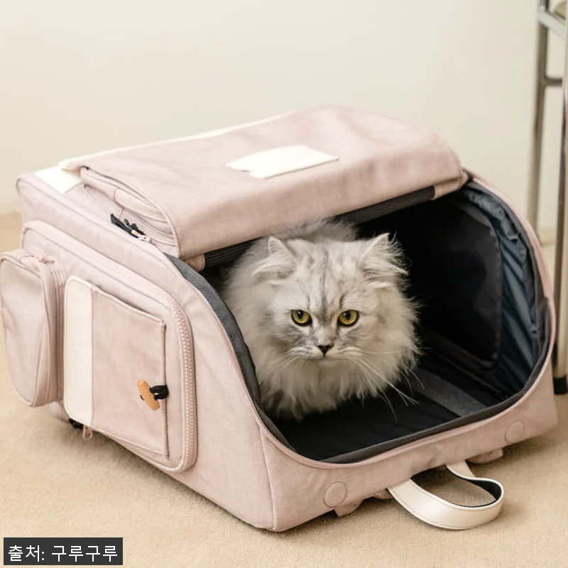 구루구루 위고백 강아지 고양이 이동가 관련 이미지 3