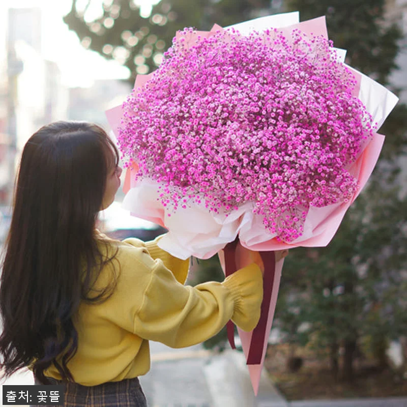 대형꽃다발 안개꽃 자이언트 대왕 큰꽃 관련 이미지 5