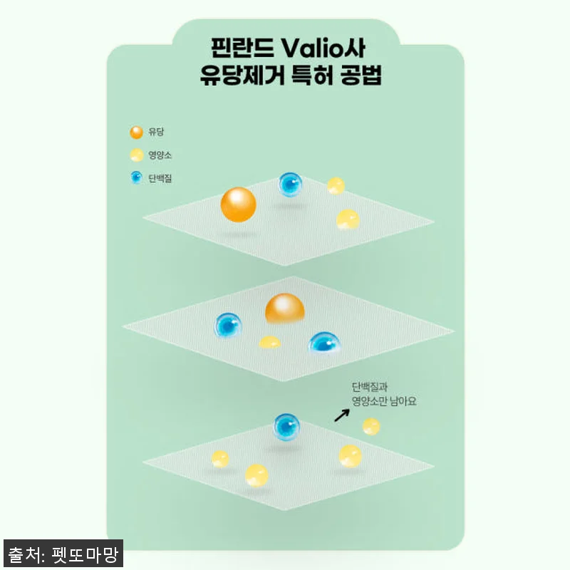 펫또마망 프리미엄 강아지 영양제 사용 관련 이미지 5