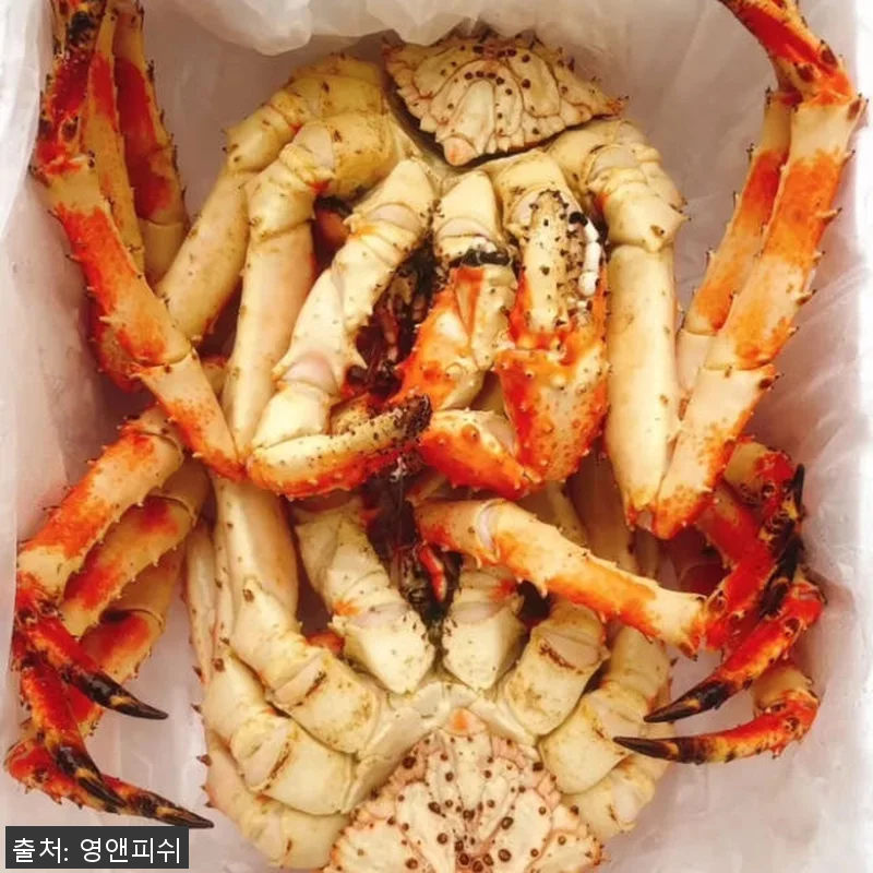 프리미엄 킹크랩 1마리 자숙 러시아 관련 이미지 6