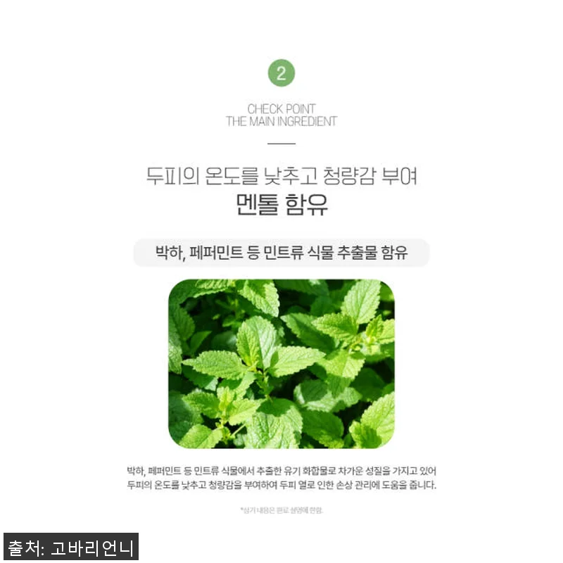 셀비아 헤어케어 샴푸 패키지 사용후기 관련 이미지 6