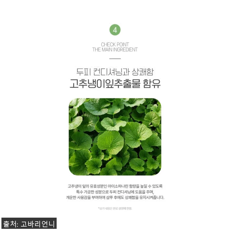 셀비아 헤어케어 샴푸 패키지 사용후기 관련 이미지 8