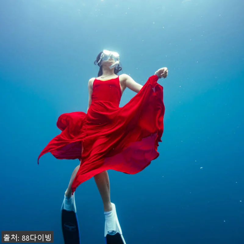 서울 경기 프리다이빙 강습 입문 초급 관련 이미지 8