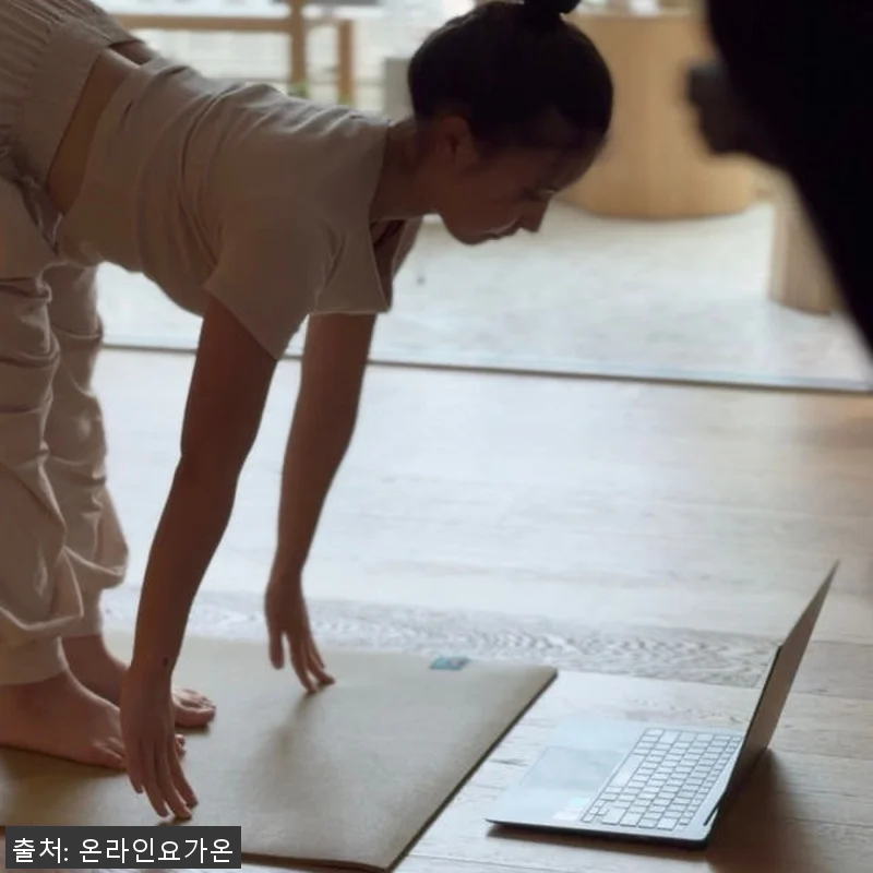 온라인요가온 YOGAON VIP 수강 관련 이미지 8