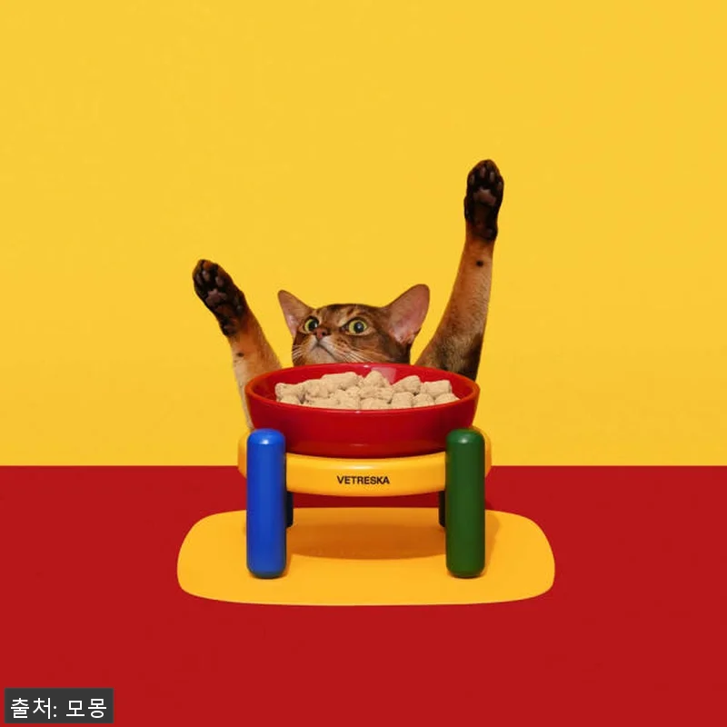VETRESKA 크로마 강아지밥그릇 관련 이미지 8
