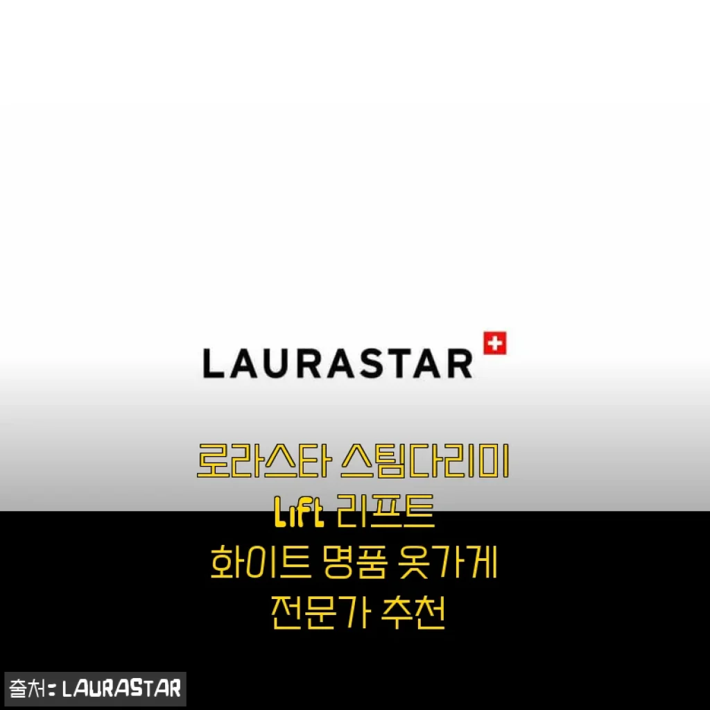 로라스타 스팀다리미 Lift 리프트 화이트 사용후기: 전문가 추천 이유를 직접 경험하다