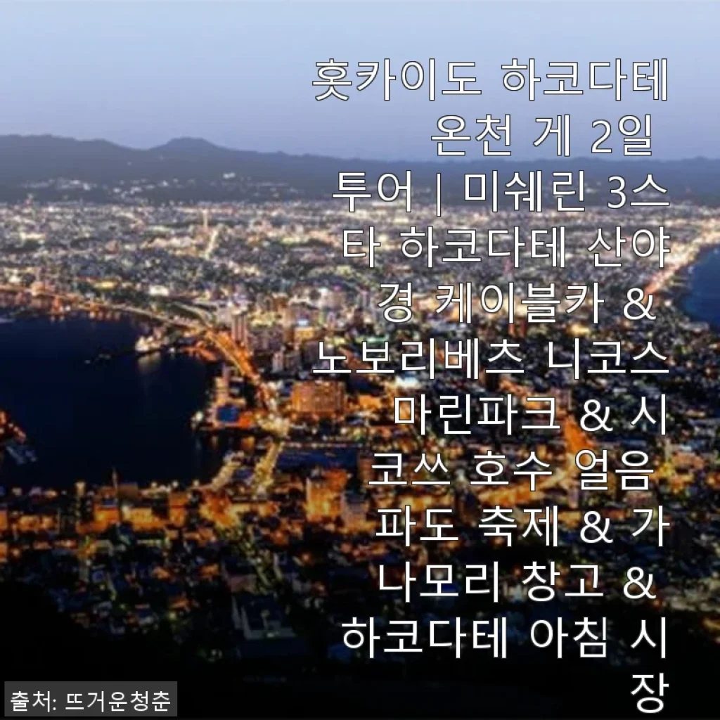 홋카이도 하코다테 온천 게 2일 투어 사용후기 및 체험기