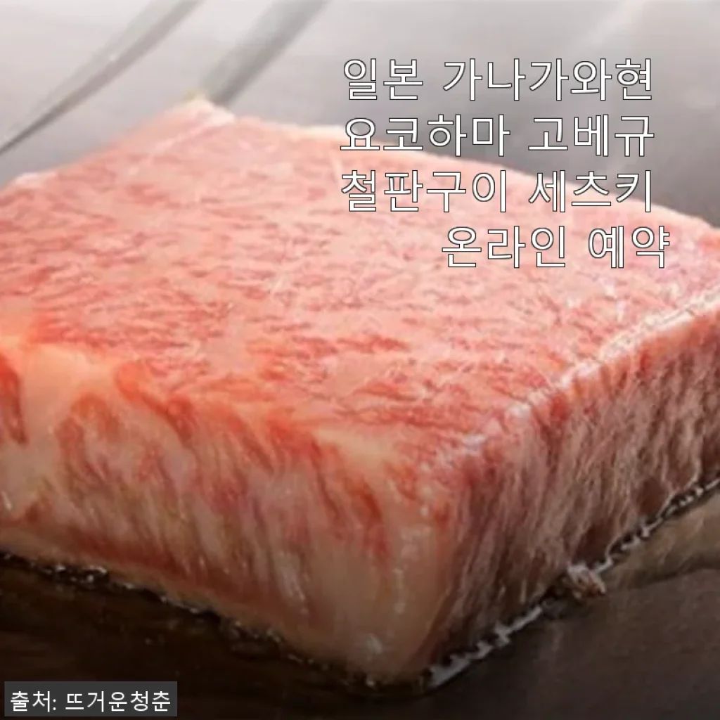 일본 가나가와현 요코하마 고베규 철판구이 세츠키 온라인 예약 사용후기