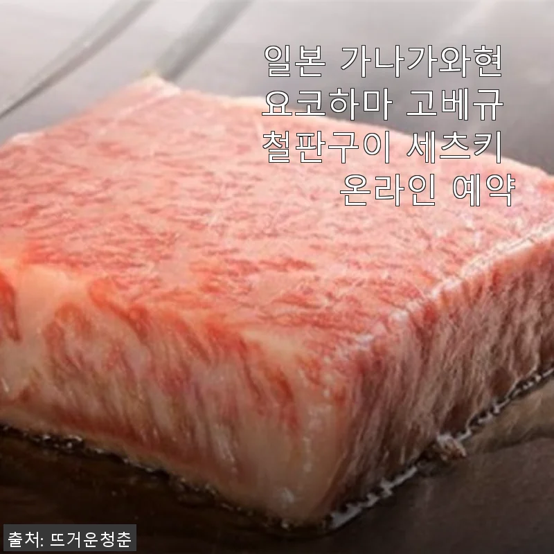 일본 가나가와현 요코하마 고베규 철판구이 세츠키 온라인 예약 사용후기
