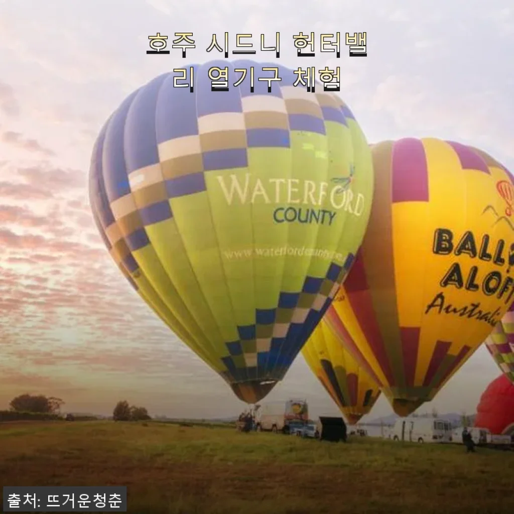 호주 시드니 헌터밸리 열기구 체험, 직접 경험해본 특별한 하루