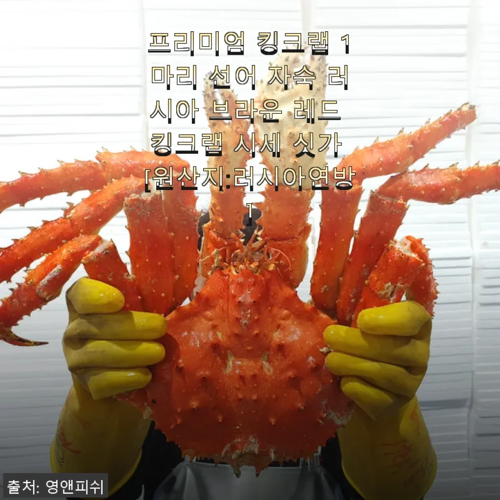 프리미엄 킹크랩 1마리 자숙 러시아 브라운 레드 킹크랩 사용후기